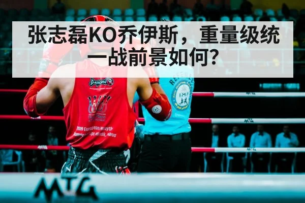 boxing ring fight arena